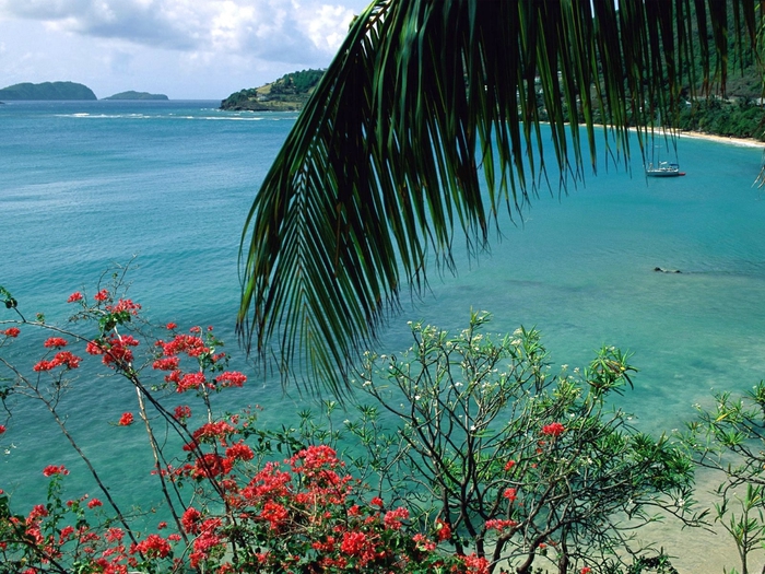 Friendship Bay_Bequia Island_St. Vincent (700x525, 358Kb)