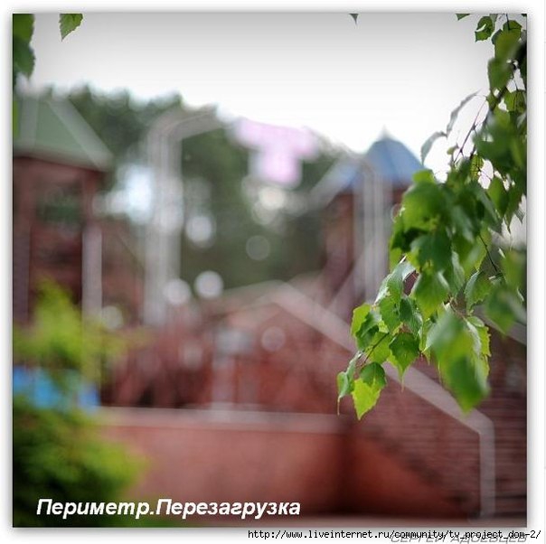 1371029123_TXAfgovZnvg (604x602, 139Kb)