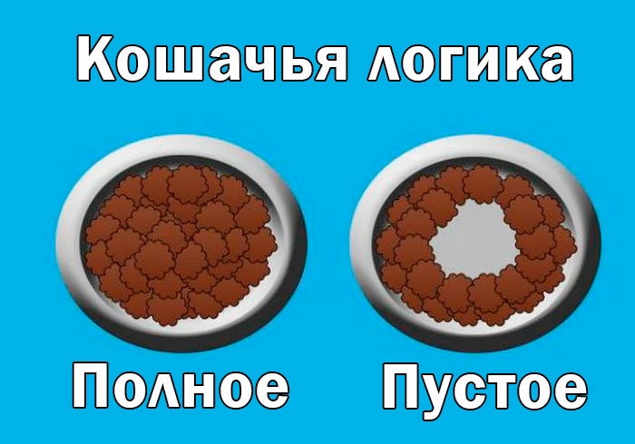 Логика полноты