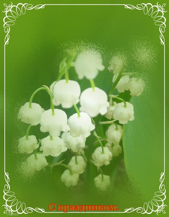 1     12 (4) (545x700, 260Kb)