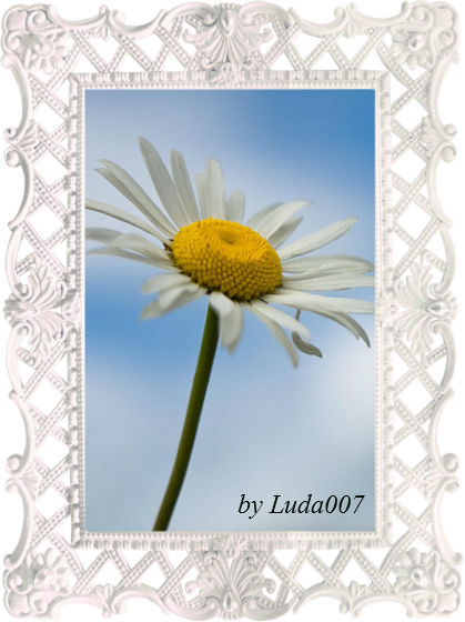 3427527__5_ (419x560, 481Kb)