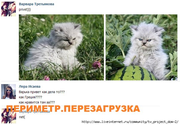 1371129149_stKCGsqyhUw (604x419, 149Kb)