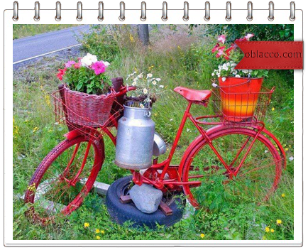 велосипед цветы дача