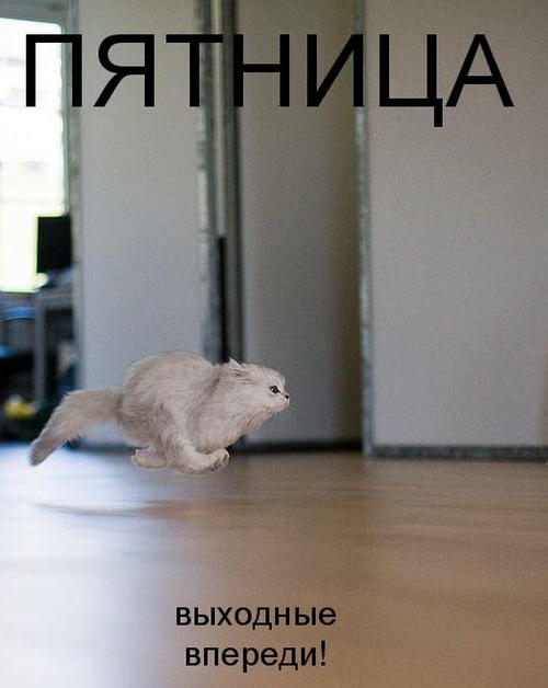 (500x628, 123Kb)