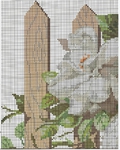  StitchArt-belie-rozy1 (560x700, 412Kb)