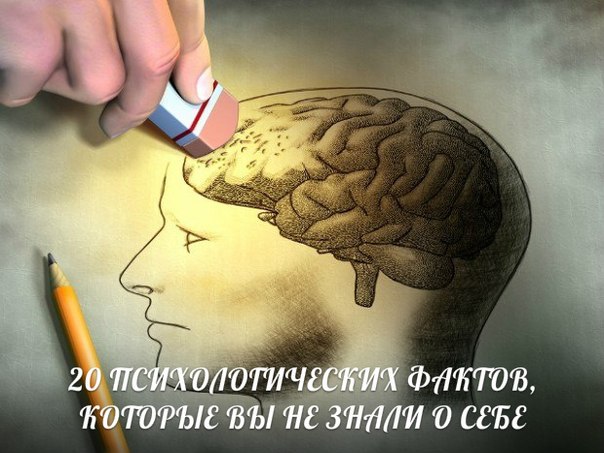 3245507_original (604x453, 64Kb)