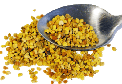 bee-pollen (250x172, 29Kb)