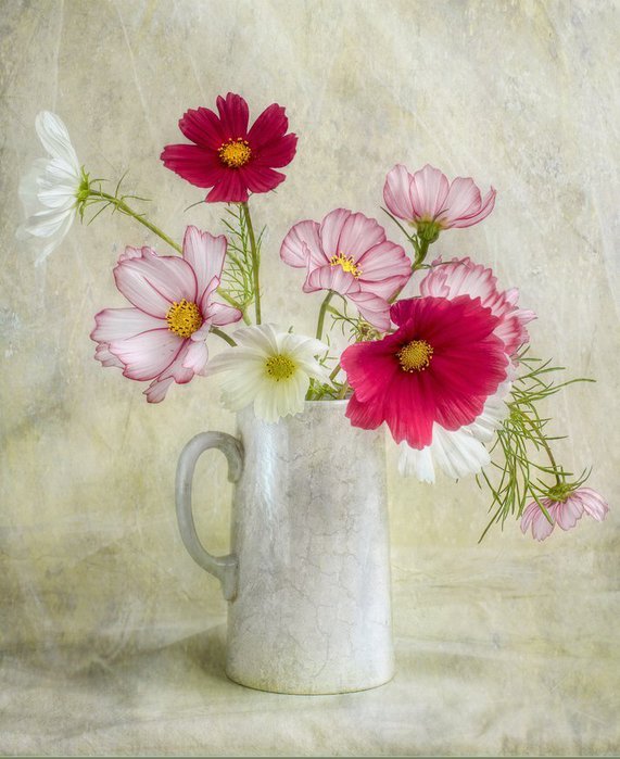 MandyDisher08 (571x700, 75Kb)