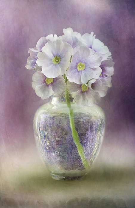 MandyDisher23 (453x700, 58Kb)