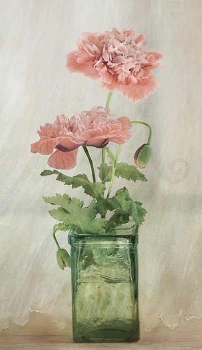 MandyDisher25 (404x700, 54Kb)
