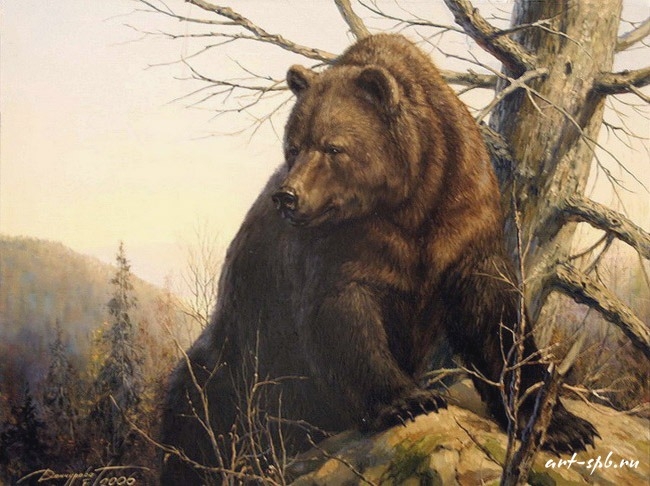 Медведь (650x486, 217Kb)