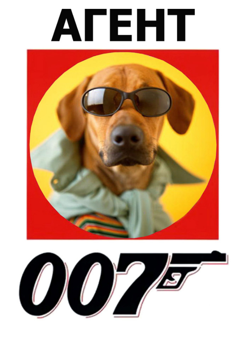 Агент 007 прикол