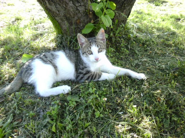 P1030651 (640x480, 265Kb)