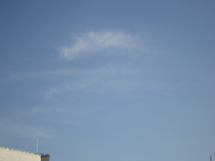DSC00409 (700x525, 19Kb)