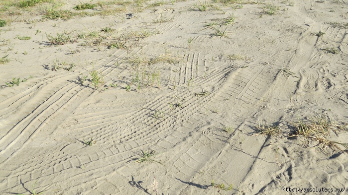 IMG_0148 (700x393, 301Kb)
