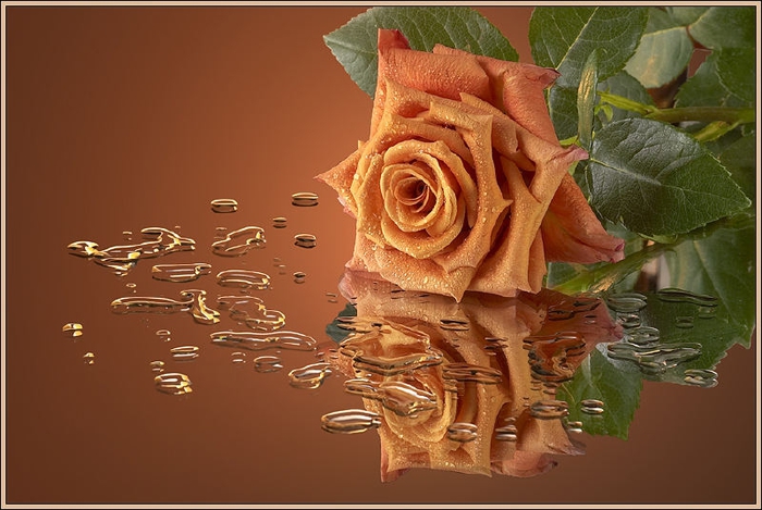 1829296ab4 (700x469, 216Kb)