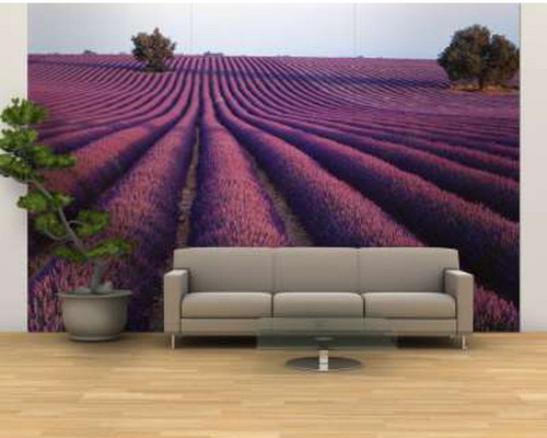 lavender-home-decorating-ideas6-1 (500x400, 48Kb)