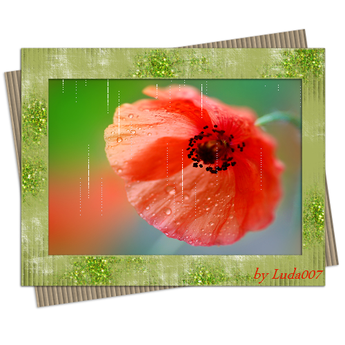 3427527_ (500x500, 428Kb)