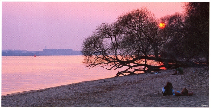 1613442_IMG_39 (700x357, 188Kb)