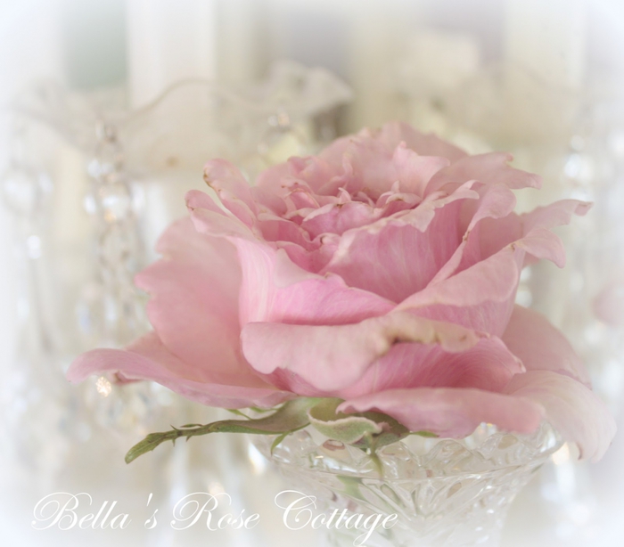 3166706_small_rose_bouquets_2 (700x614, 188Kb)