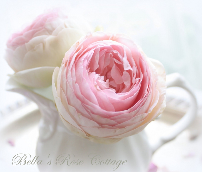 3166706_small_rose_bouquets_8 (700x596, 183Kb)