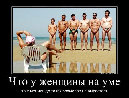 http://img0.liveinternet.ru/images/attach/c/8/102/277/102277578_3416556_getImage.jpg