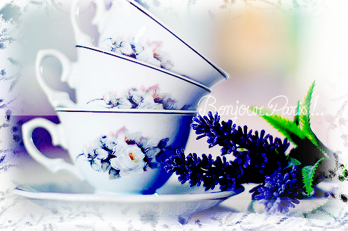 5 (500x332, 384Kb)