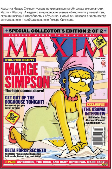 3623822_simpsons_04 (465x700, 287Kb)
