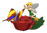 4216969_butterfly_pixie_rose_lg_clr (156x111, 49Kb)