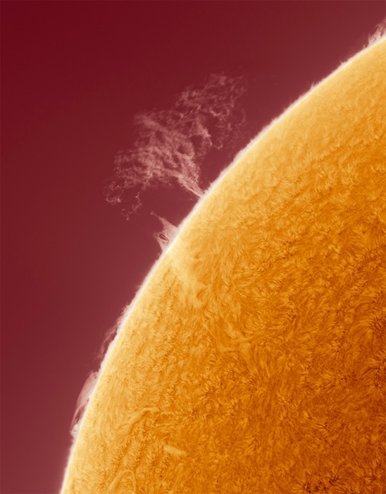 sun-3 (548x700, 221Kb)