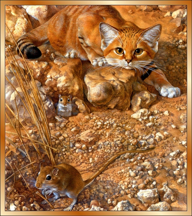 p-pwarner_Sand_Cat (623x700, 435Kb)