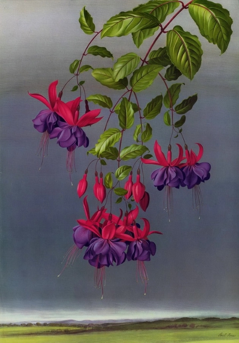 3623822_p19 (489x700, 221Kb)