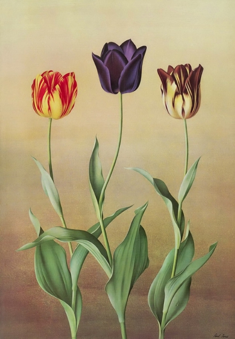 3623822_p23 (485x700, 208Kb)