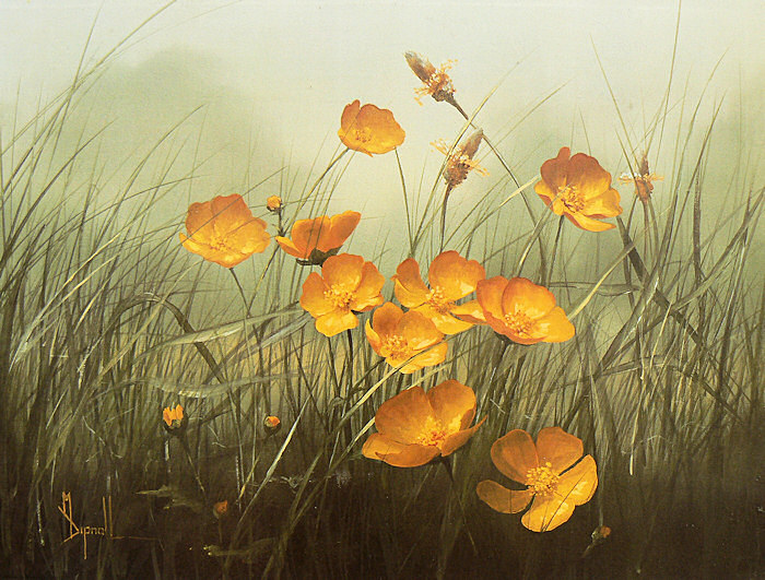 3314741_Buttercups (700x531, 142Kb)