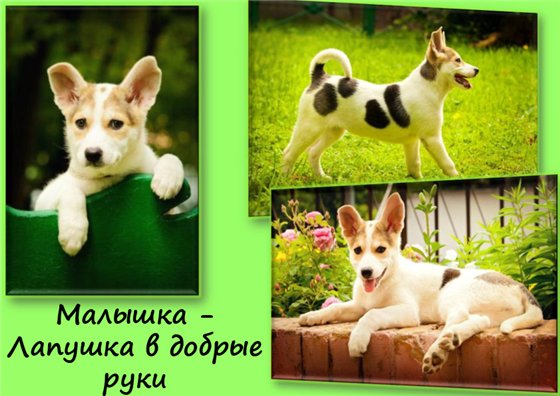  (560x396, 55Kb)
