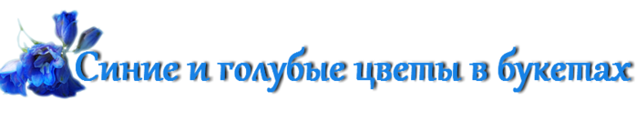 4975968_ (700x133, 60Kb)