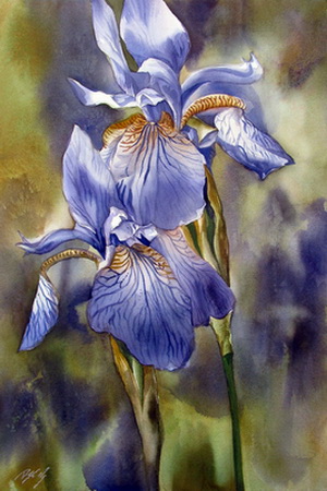 Blue Irises (300x450, 74Kb)