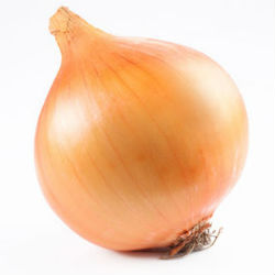 /1372326661_onion (250x250, 9Kb)