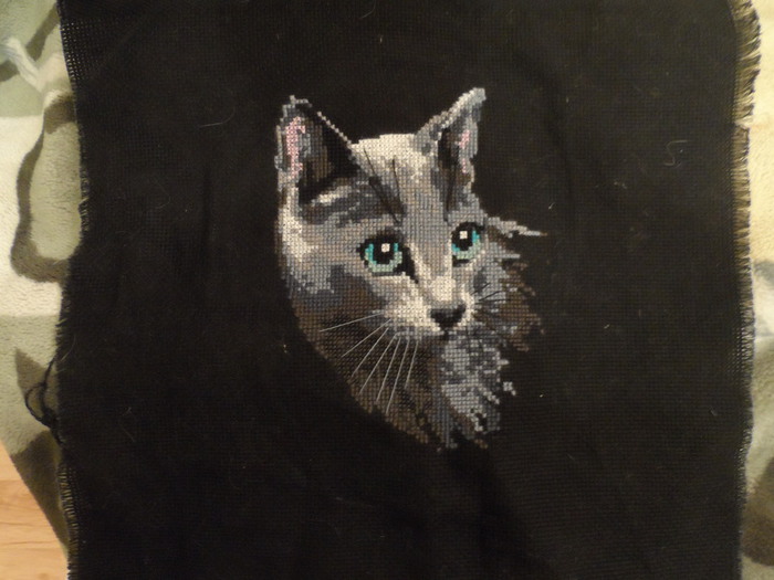 SAM_2391 (700x525, 84Kb)