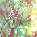fbd7793c3c41f673ee78ec7ee875f246 (120x120, 29Kb)