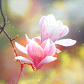 sweet_air_by_incolor16-d63104v (120x120, 23Kb)