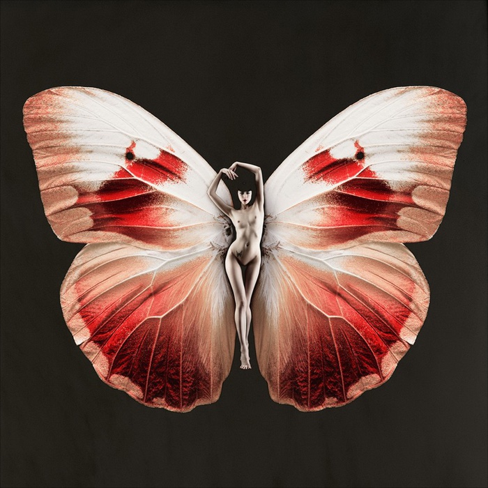 4826692_25 (700x700, 149Kb)