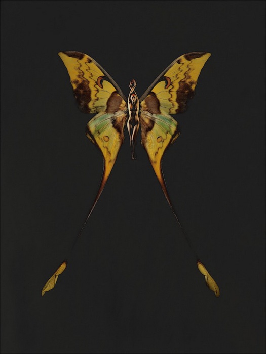 4826692_38 (525x700, 45Kb)