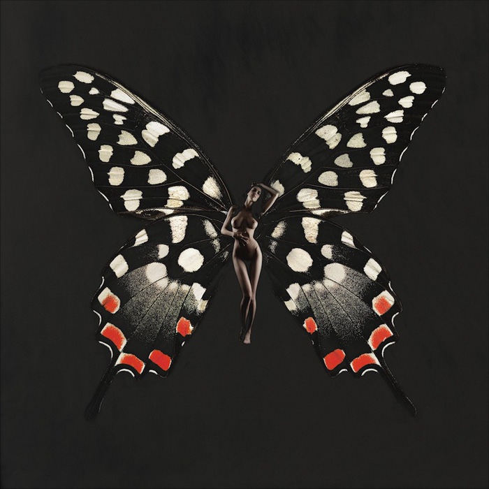 4826692_40 (700x700, 109Kb)