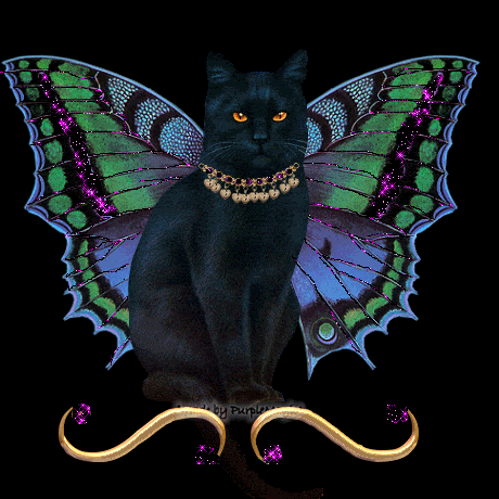 3571750_Superbkittyfly12 (460x460, 97Kb)