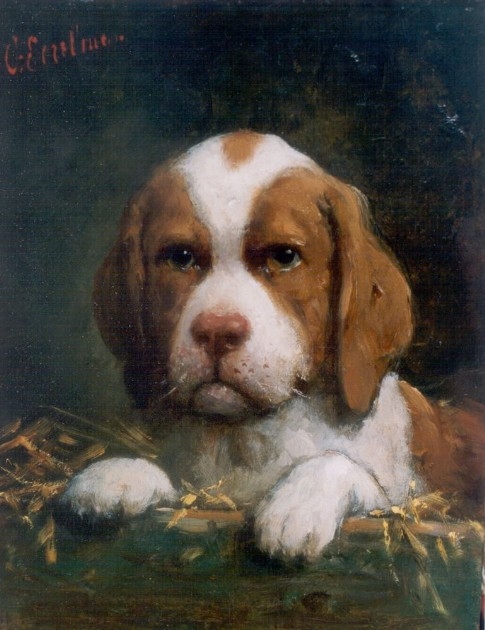 A puppy (485x630, 174Kb)