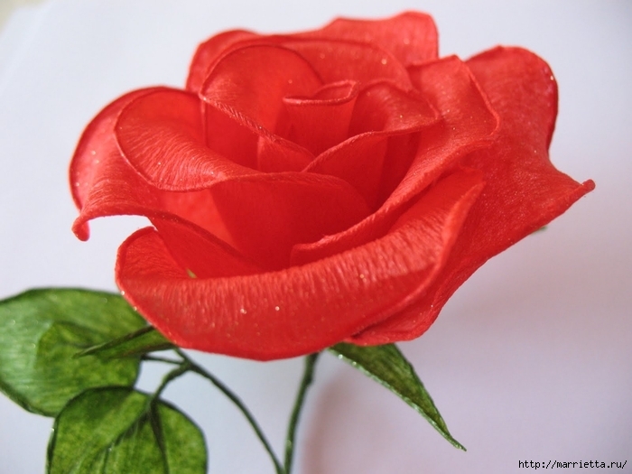 Очень красивые розы из гофрированной бумаги (38) (700x525, 205Kb)