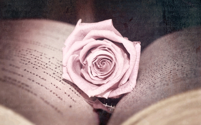 Vintage composition with roses (40) (700x437, 219Kb)