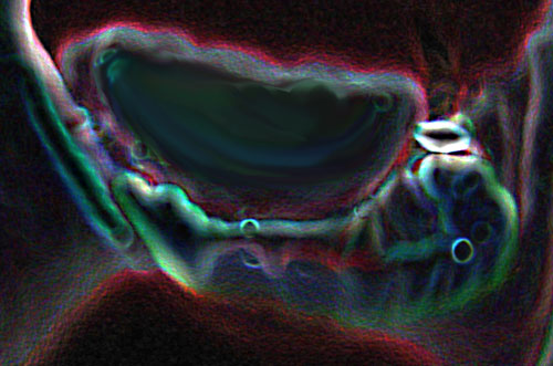 P1040089 (500x331, 64Kb)