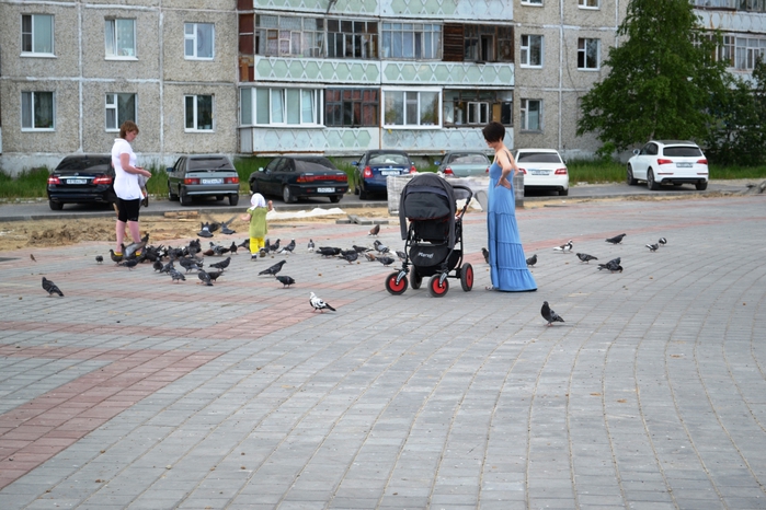 DSC_0410 (700x466, 276Kb)